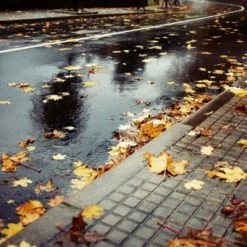 Pneu Vélo Michelin StarGrip 700 X 40C Réflecto -Velo Pioneur Soldes Boutique pneu velo michelin stargrip 700x40c reflecto full 5